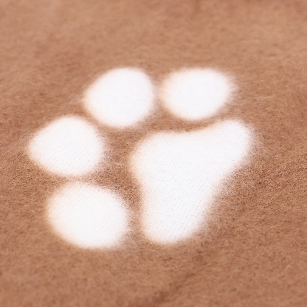 Warm & Super Soft Pet Blanket