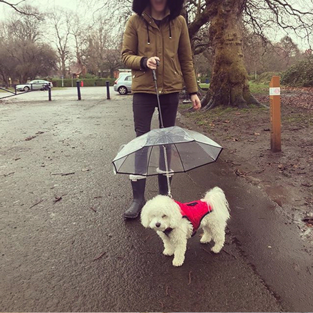 Dog Umbrella With Collar Chain