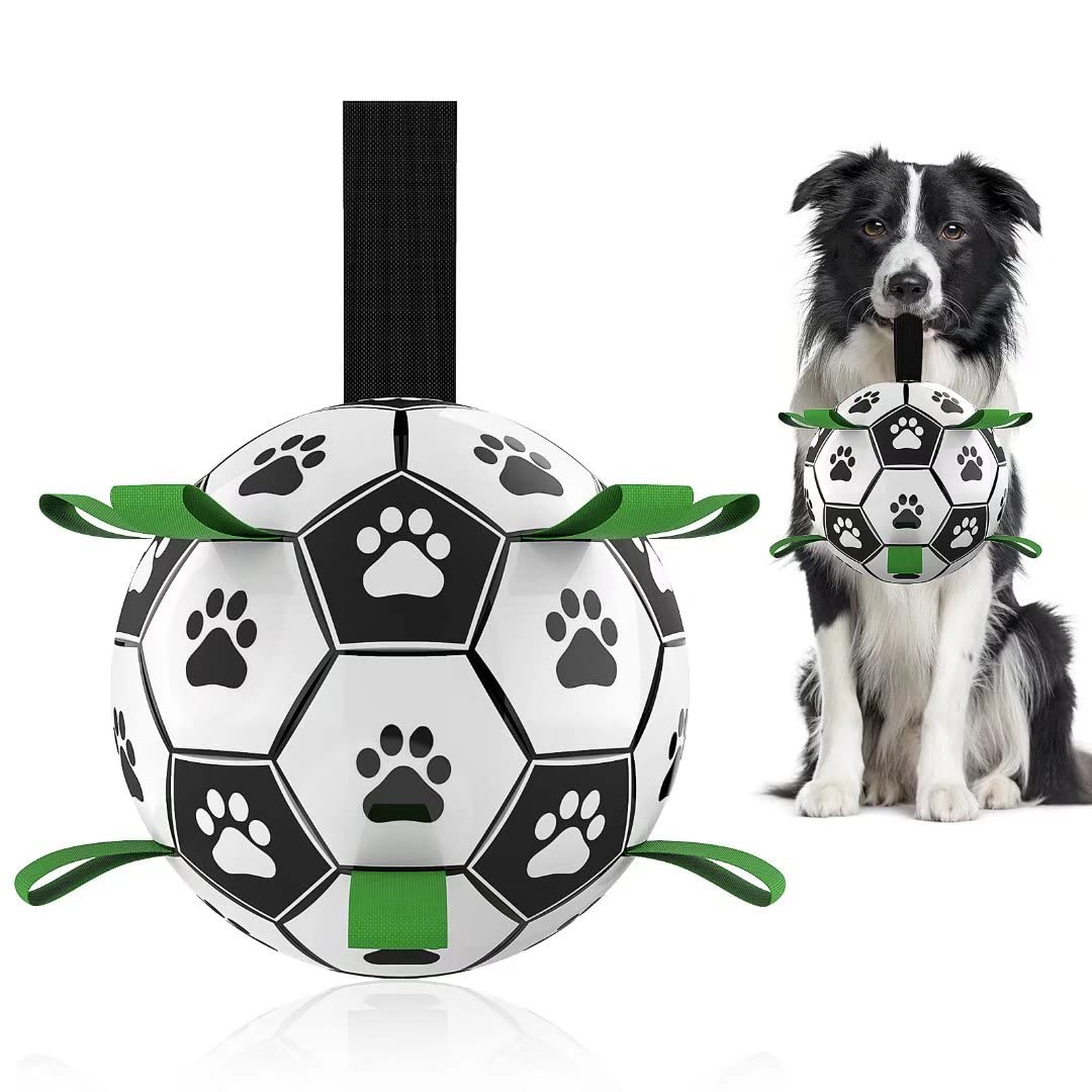 Interactive Dog Ball Toy - Football or Rugby Ball - Inflated Ball with Ball Pump