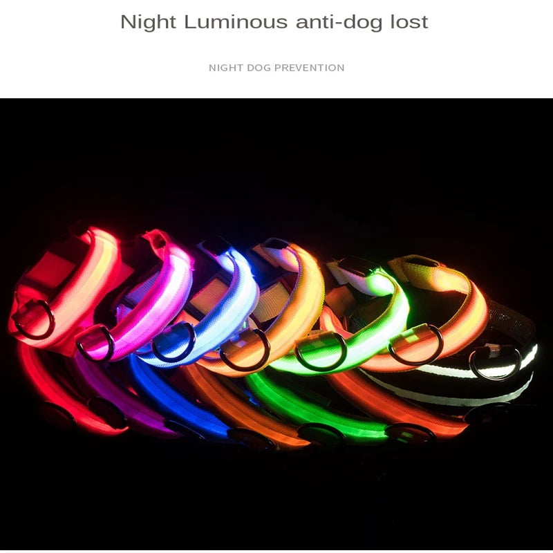 Pet Collar - Glowing Adjustable LED Pet Collar - Various Colours & Sizes