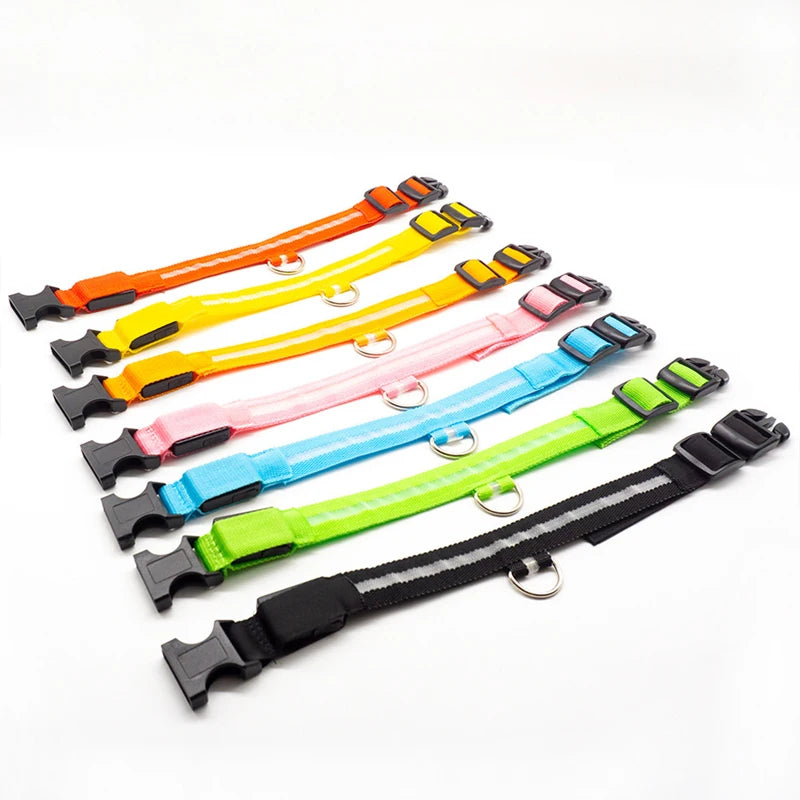 Pet Collar - Glowing Adjustable LED Pet Collar - Various Colours & Sizes