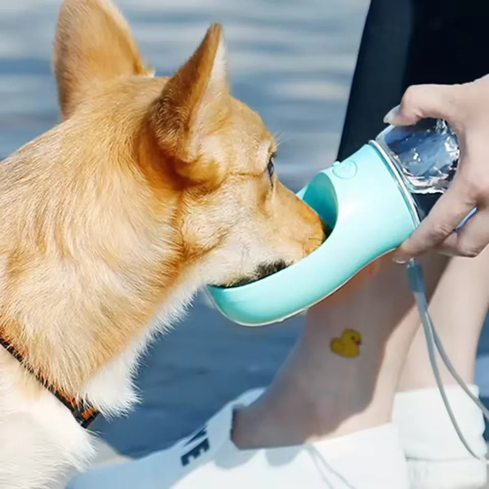 Portable dog water bottle - Keep your dog hydrated whilst out and about - Save with multibuy