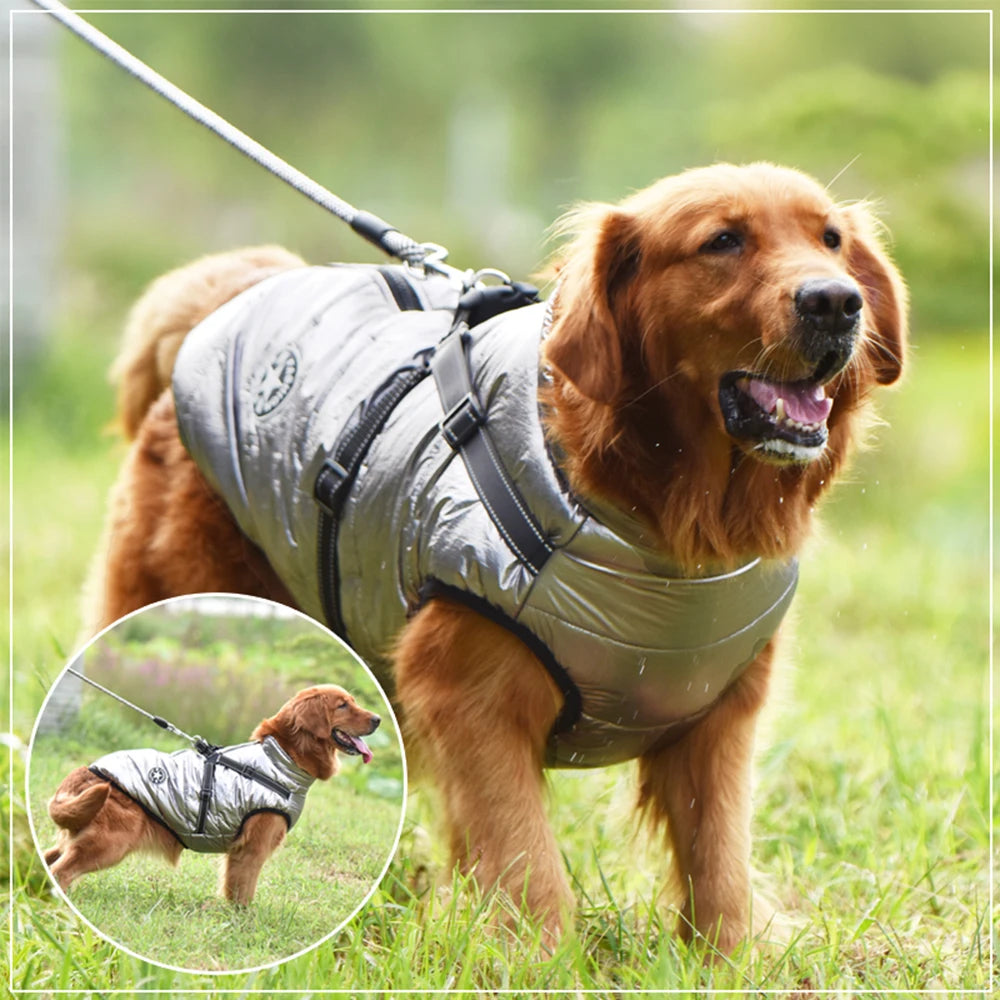 Warm Winter/Autumn Dog Jacket/Coat with Harness, Waterproof with a Fleece Lining