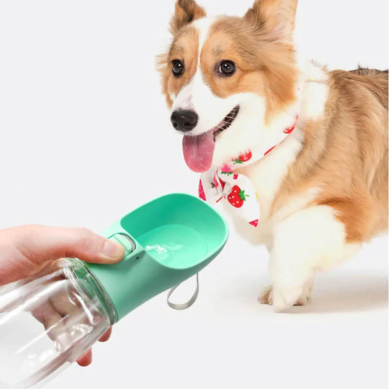 Portable dog water bottle - Keep your dog hydrated whilst out and about - Save with multibuy