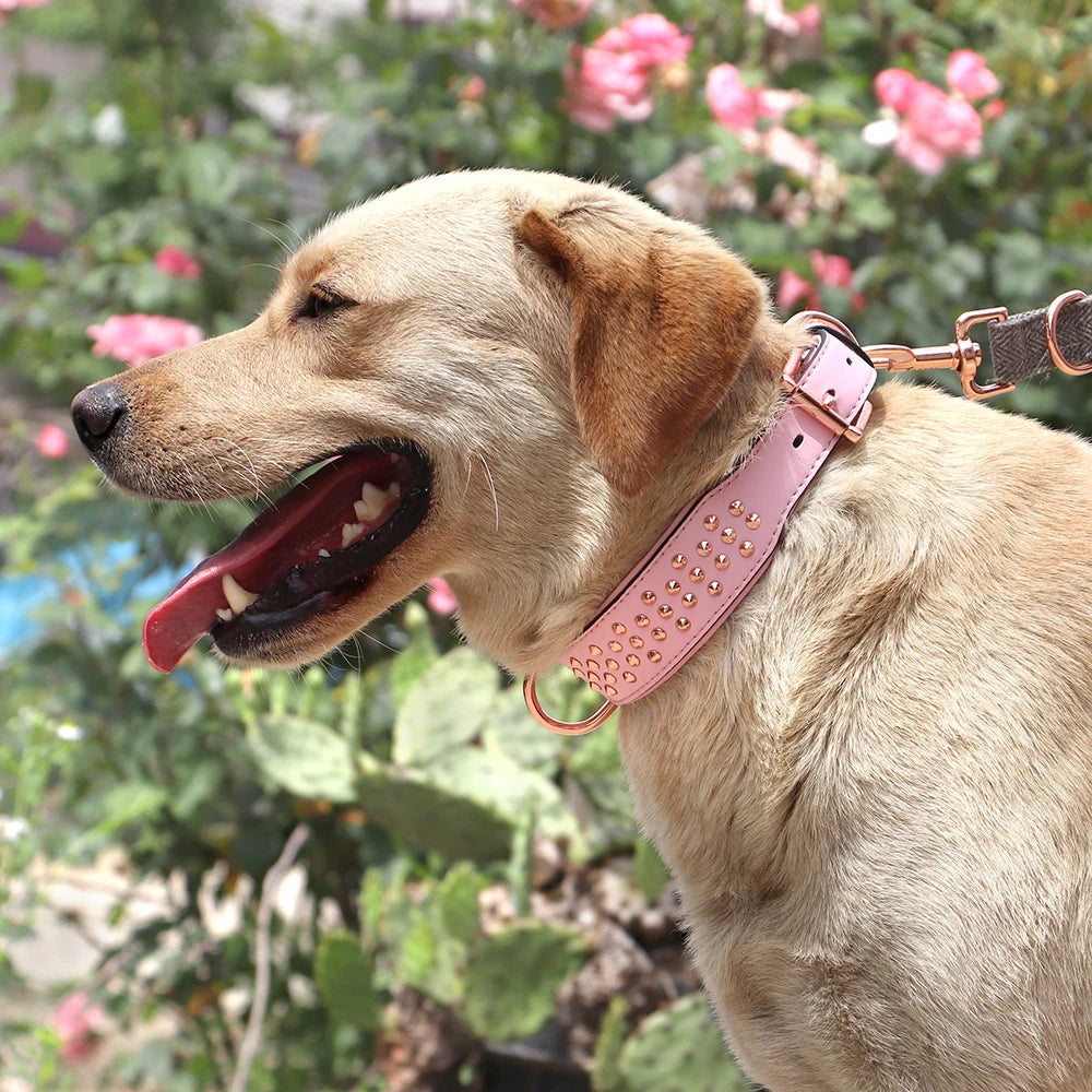 High Quality Studded Leather Dog Collar