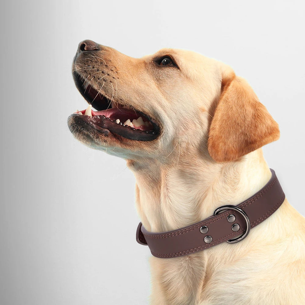 Soft Durable Real Leather Dog Collar - Genuine Leather Pet Collar