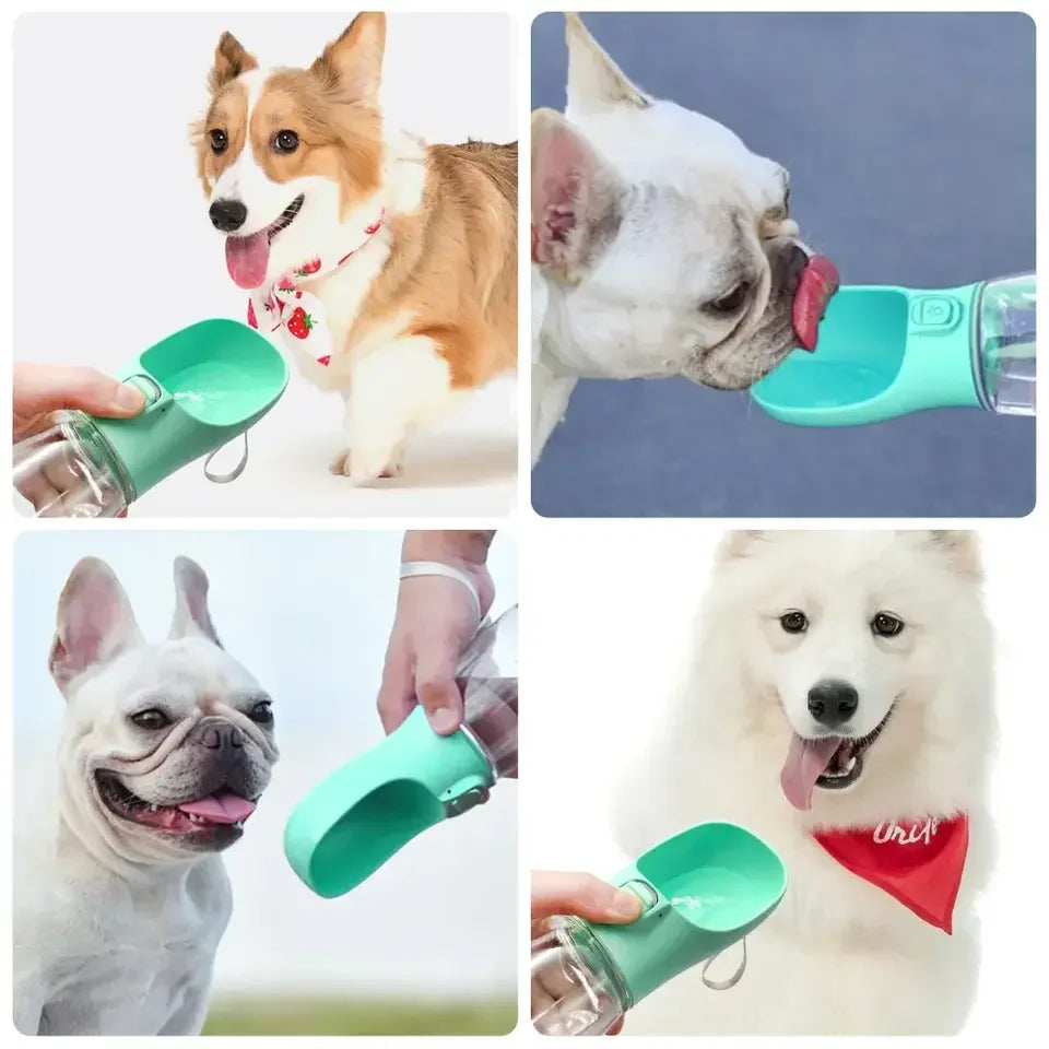 Portable dog water bottle - Keep your dog hydrated whilst out and about - Save with multibuy