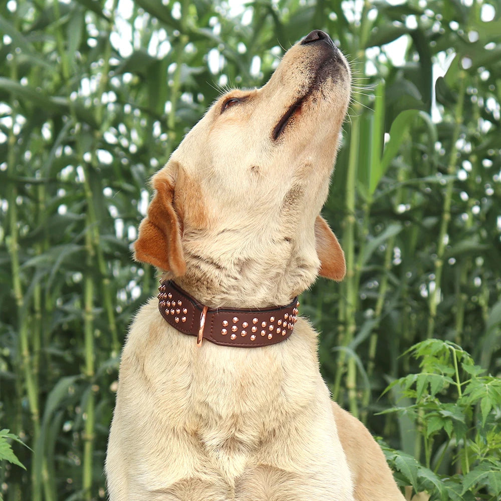 High Quality Studded Leather Dog Collar