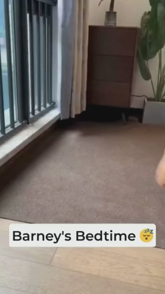 Luxury Pet Sofa & Bed with Pillow- Sizes M / L / XL / XXL