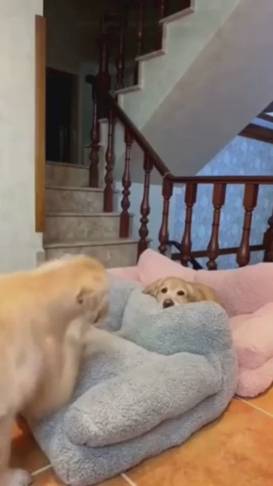 Luxury Pet Sofa & Bed with Pillow- Sizes M / L / XL / XXL