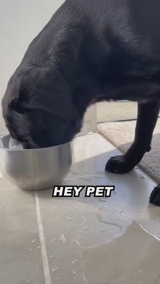 Clever Pet Water Bowl - Prevents Spills & Mess