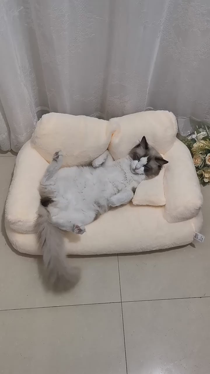 Luxury Pet Sofa & Bed with Pillow- Sizes M / L / XL / XXL