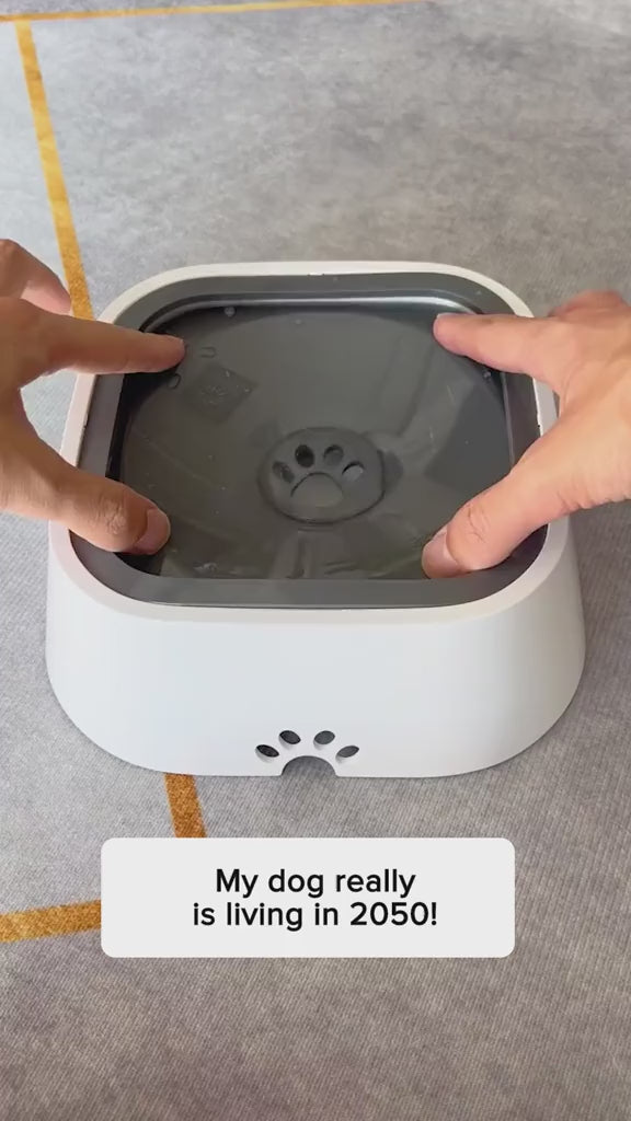 Clever Pet Water Bowl - Prevents Spills & Mess