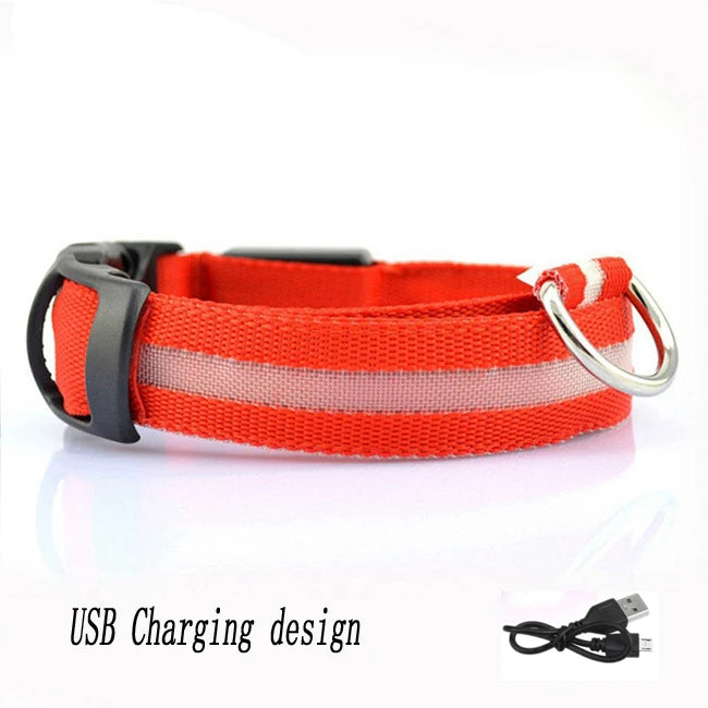 Pet Collar - Glowing Adjustable LED Pet Collar - Various Colours & Sizes
