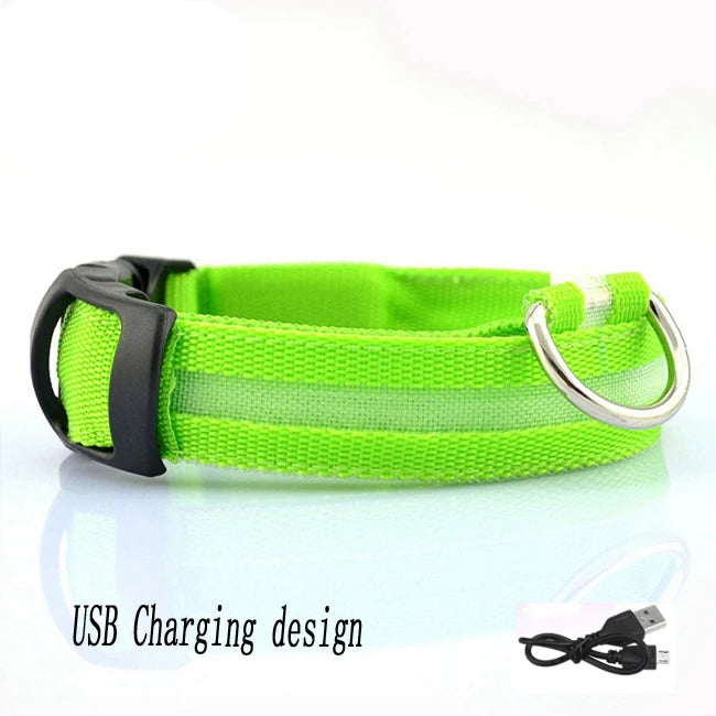 Pet Collar - Glowing Adjustable LED Pet Collar - Various Colours & Sizes