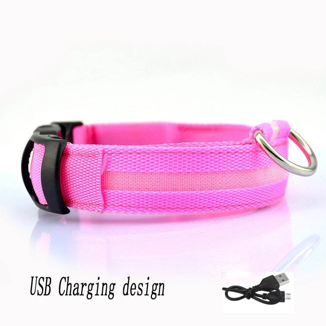 Pet Collar - Glowing Adjustable LED Pet Collar - Various Colours & Sizes
