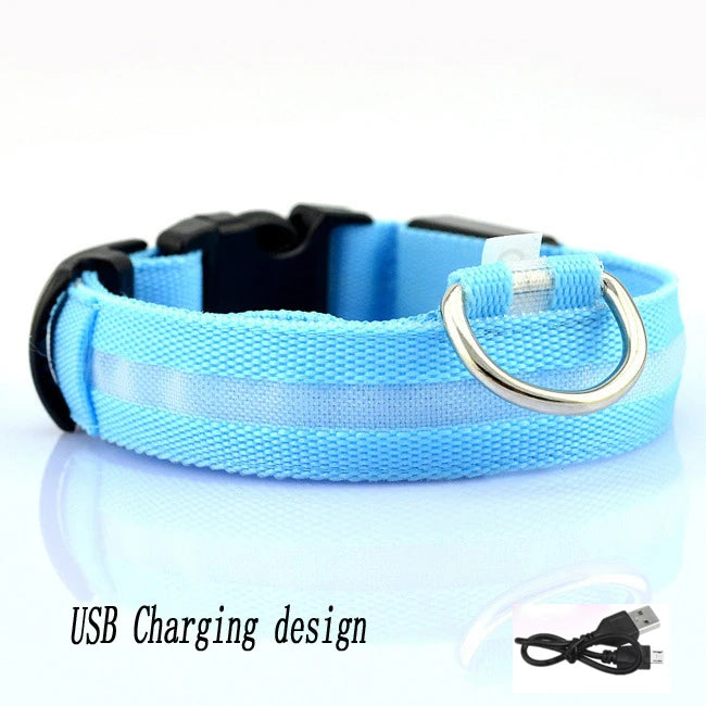 Pet Collar - Glowing Adjustable LED Pet Collar - Various Colours & Sizes